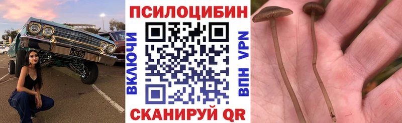 Псилоцибиновые грибы ЛСД Томари