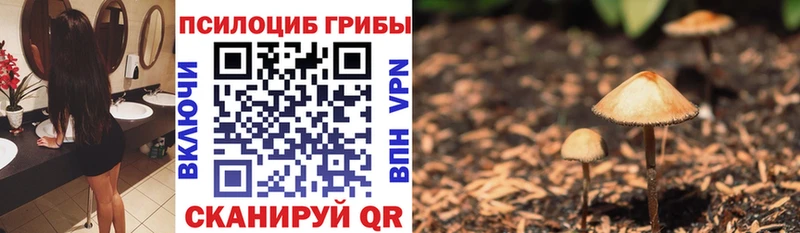 цена наркотик  Томари  Галлюциногенные грибы ЛСД 
